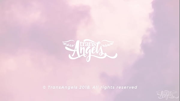 Midnight Pussy / TransAngels / download f...