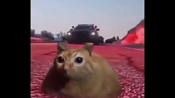 Branco Correndo de 4 Negões