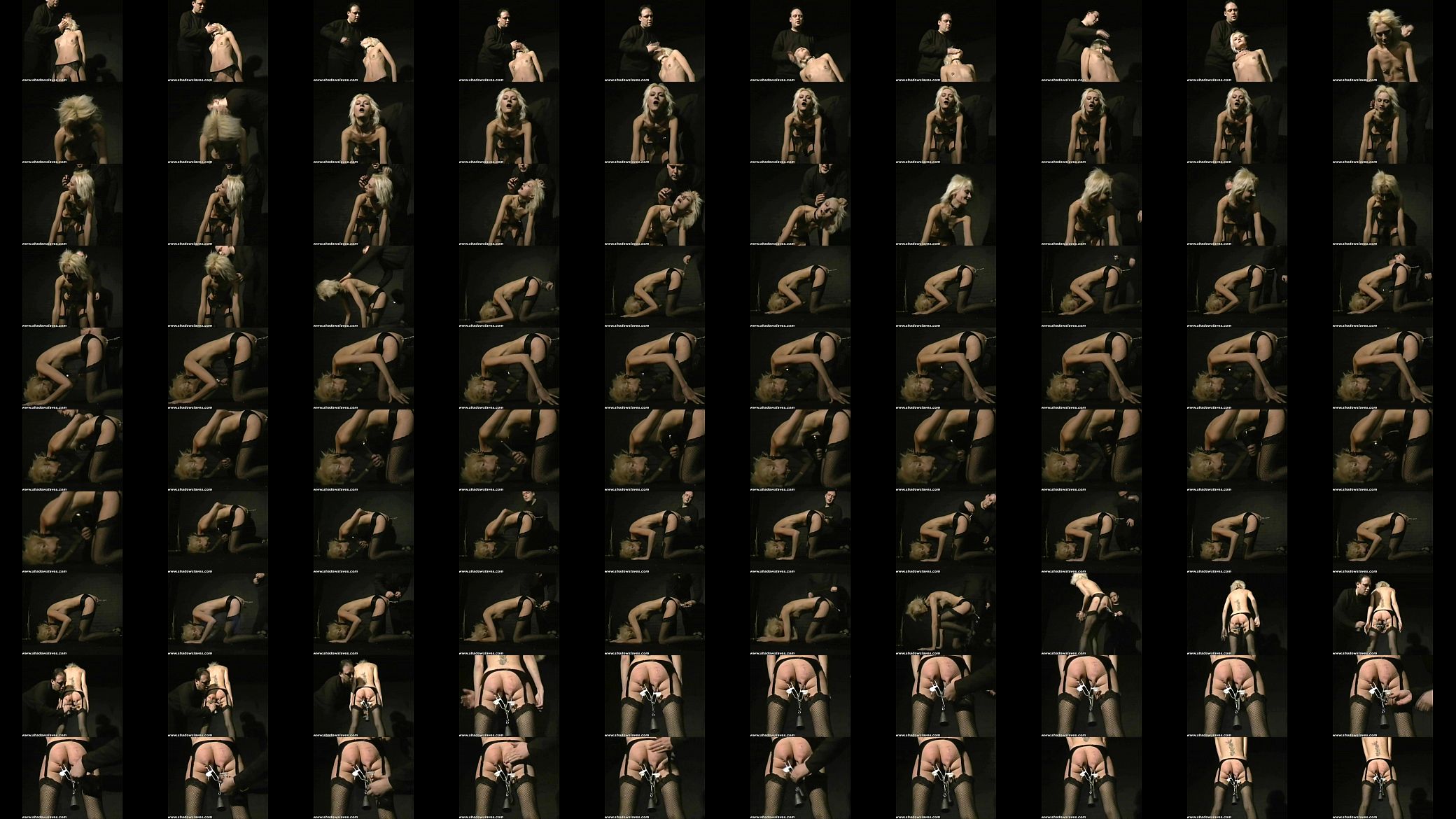 Wynters Bizarre Bdsm Terror 预览图