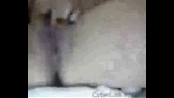 Download Video - 352520 5
