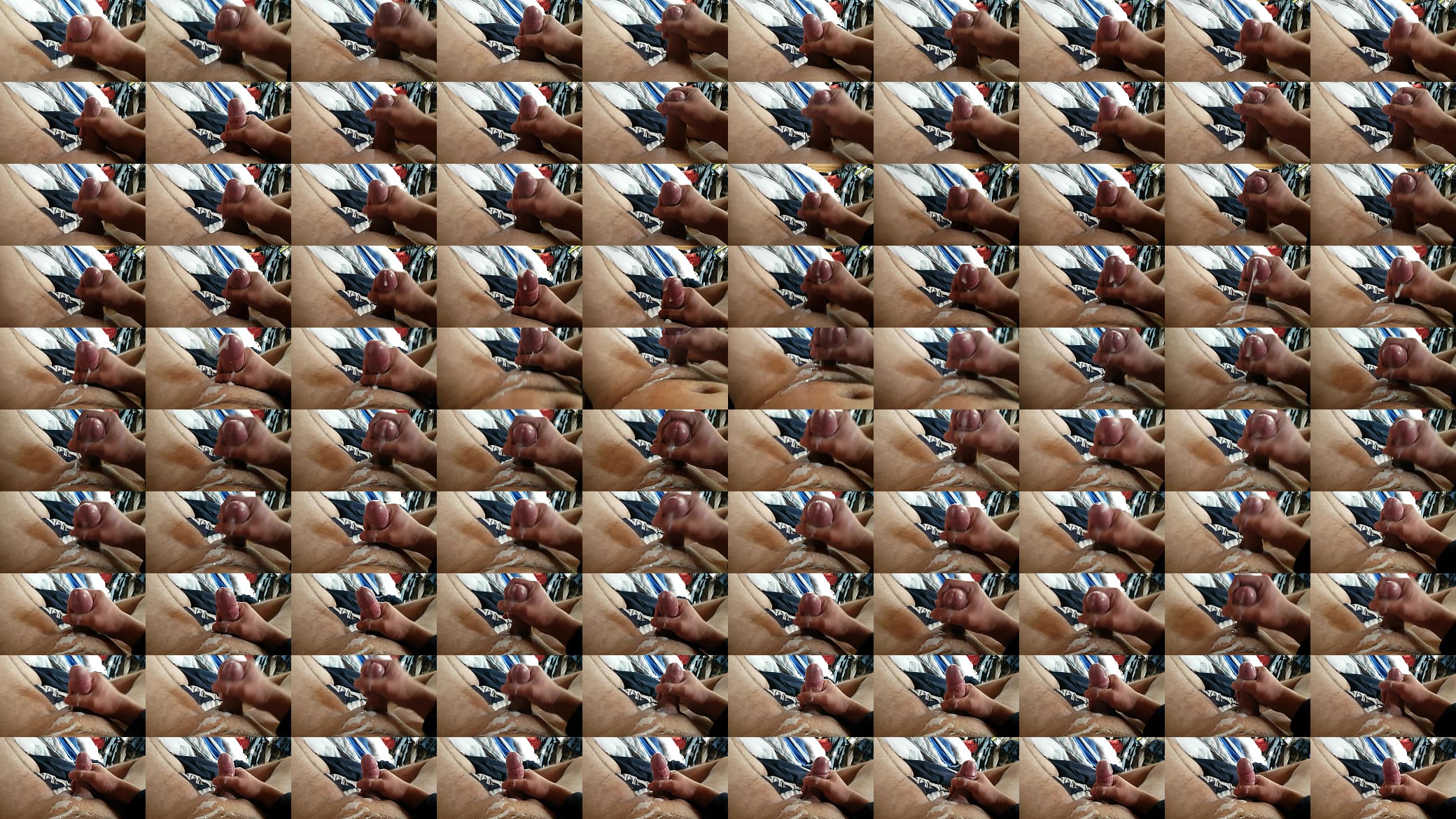 Lechita rica 预览图
