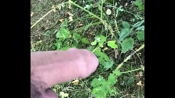 Download Video - Getting hard whilst pissing in the woods