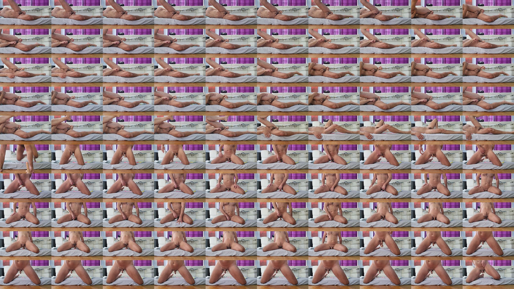 Dildo anal 预览图