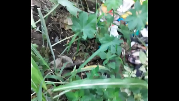 Download Video - Dei meu cuzinho no meio do mato para um novinho desconhecido que passou por mim na rua&period;