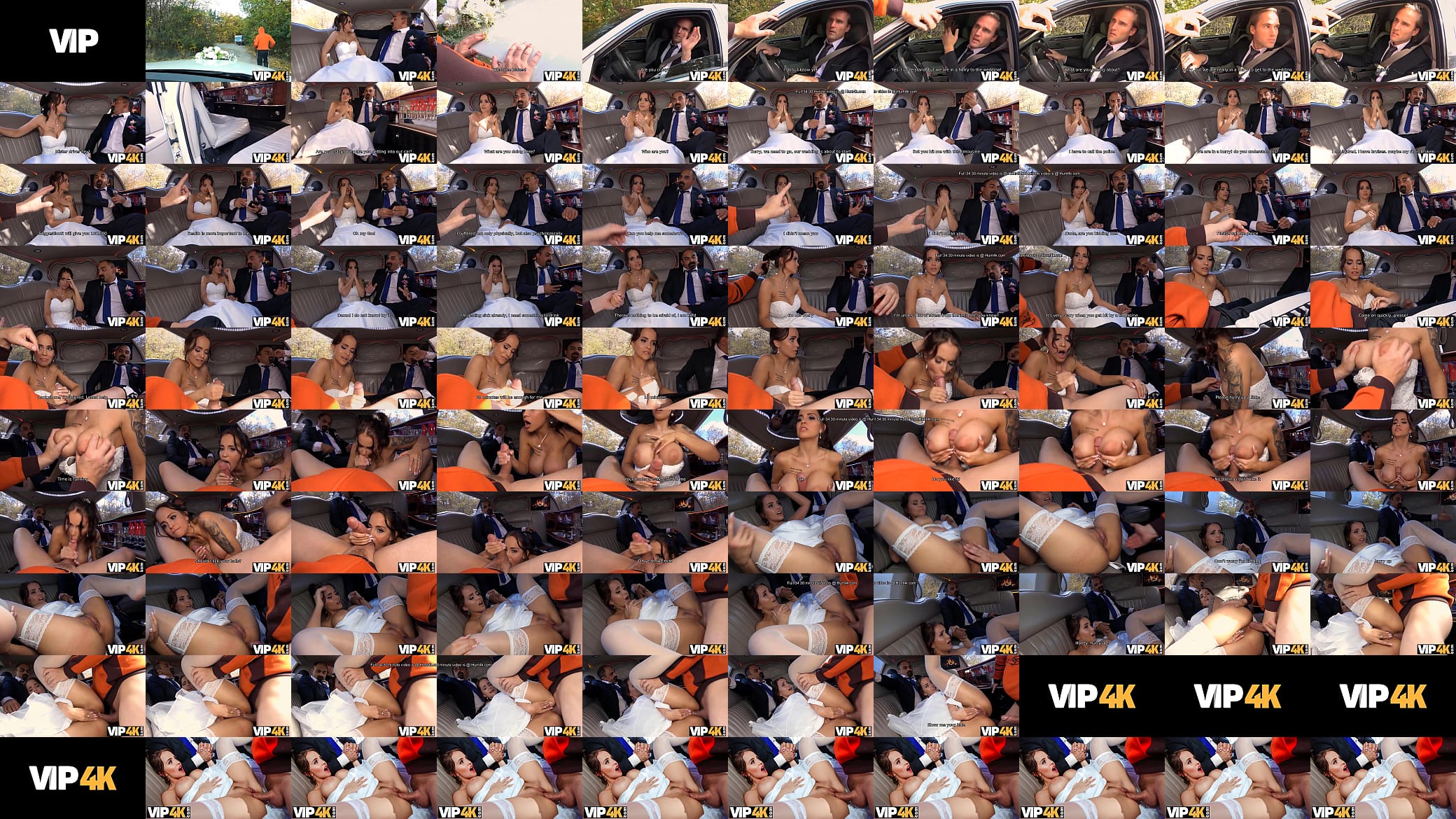 VIP4K. Bride permits husband to watch her having ass scored in limo 预览图