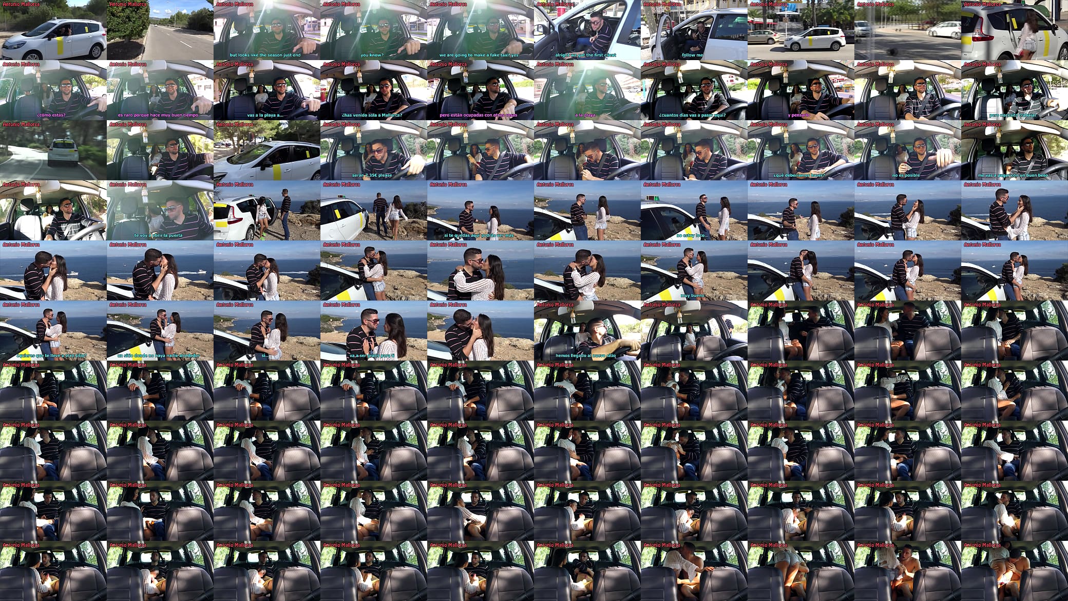 FAKE TAXI 预览图