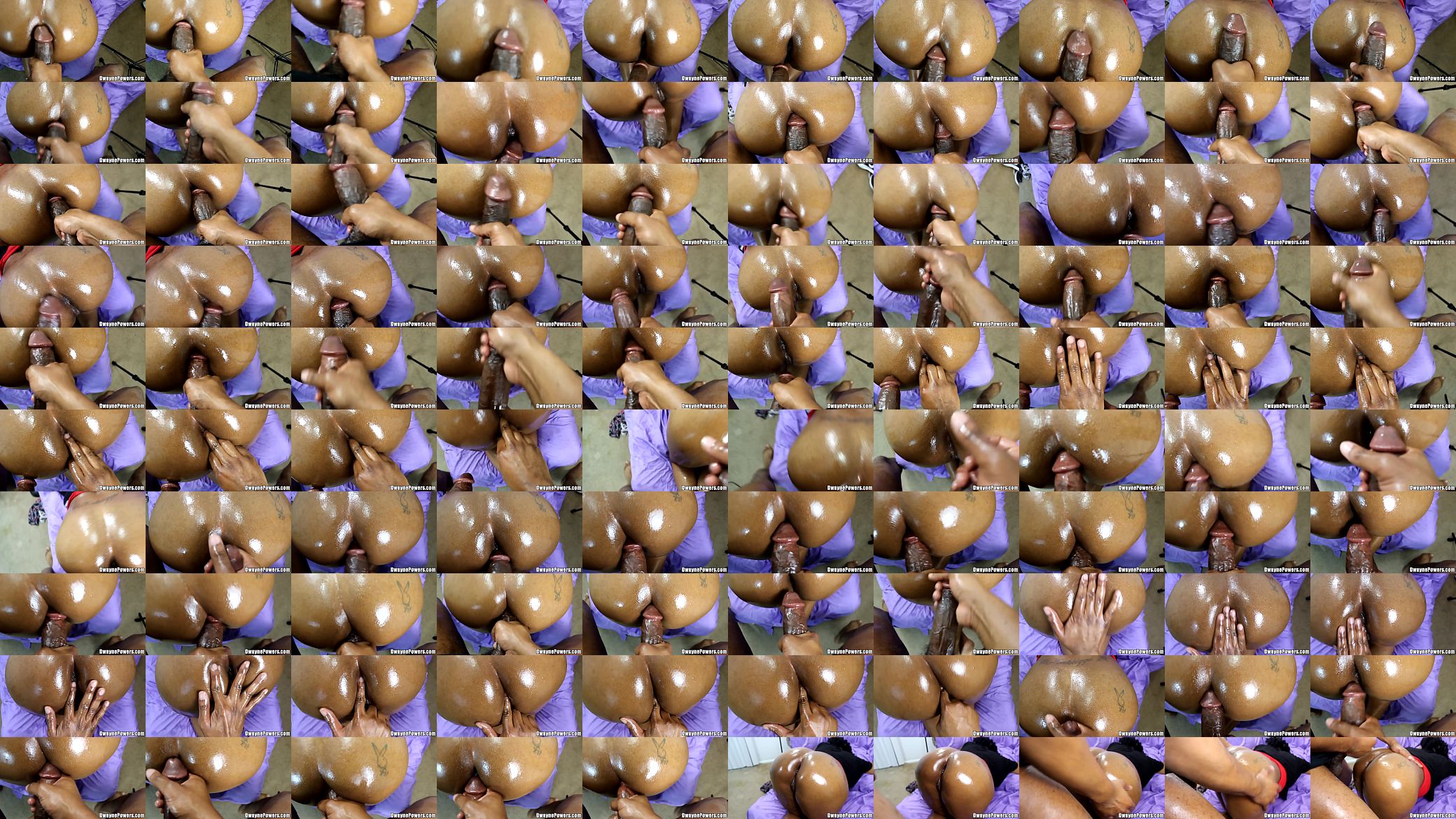Mature Ebony Asshole 预览图