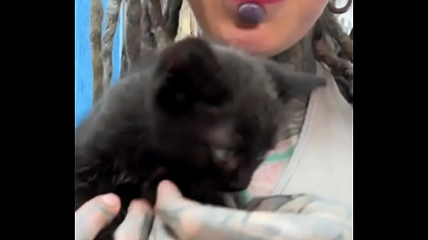 Sweet little black kitty cat ??What's your favorite thing about black cats?#BlackKittyLove #Sweet #CatVibes #Psyla...