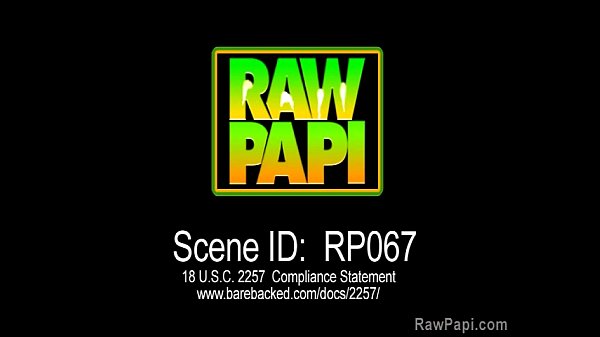 Download Video - Handsome Latino Bareback Fuck