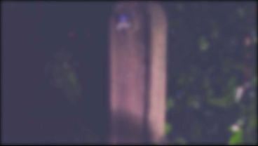 She loves pissing in the garden at night