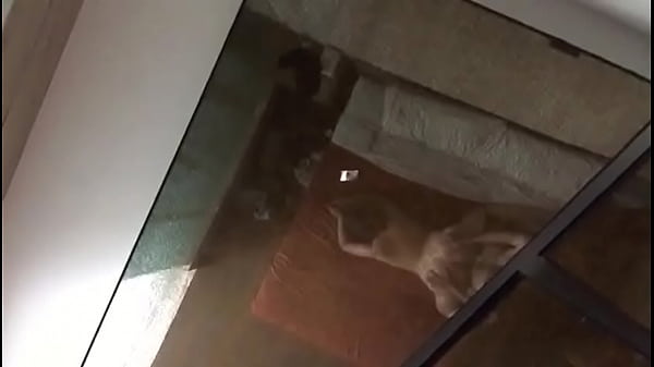 Download Video - cogiendo con morrita de 19 en hotel&lpar;sin audio&rpar;