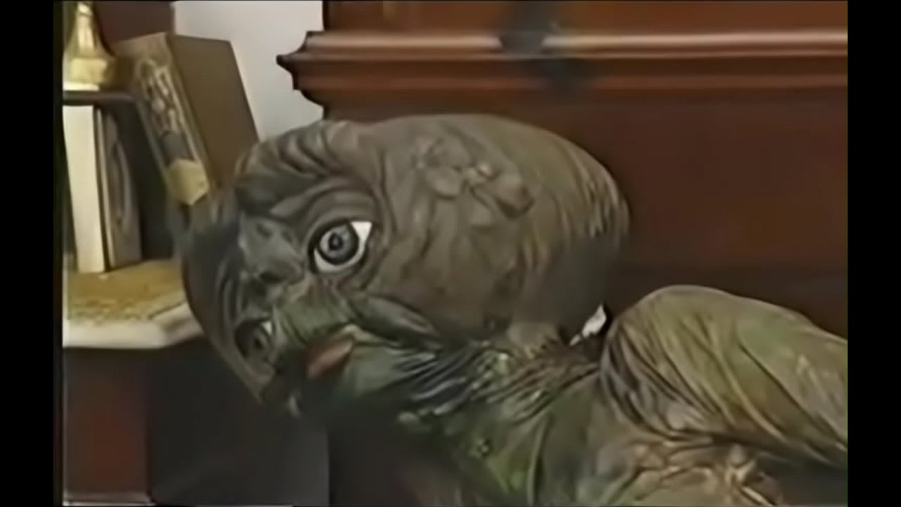 xv_25_p.jpg