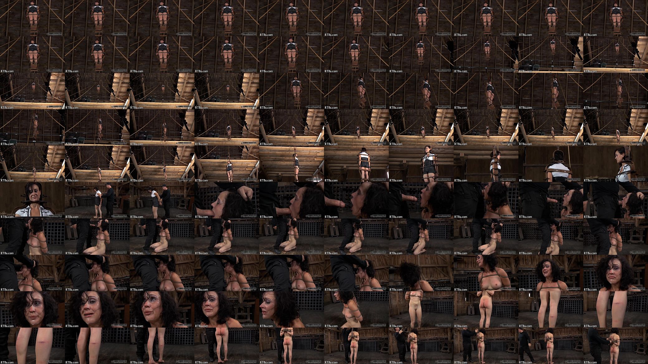 Sadomasochism poses 预览图