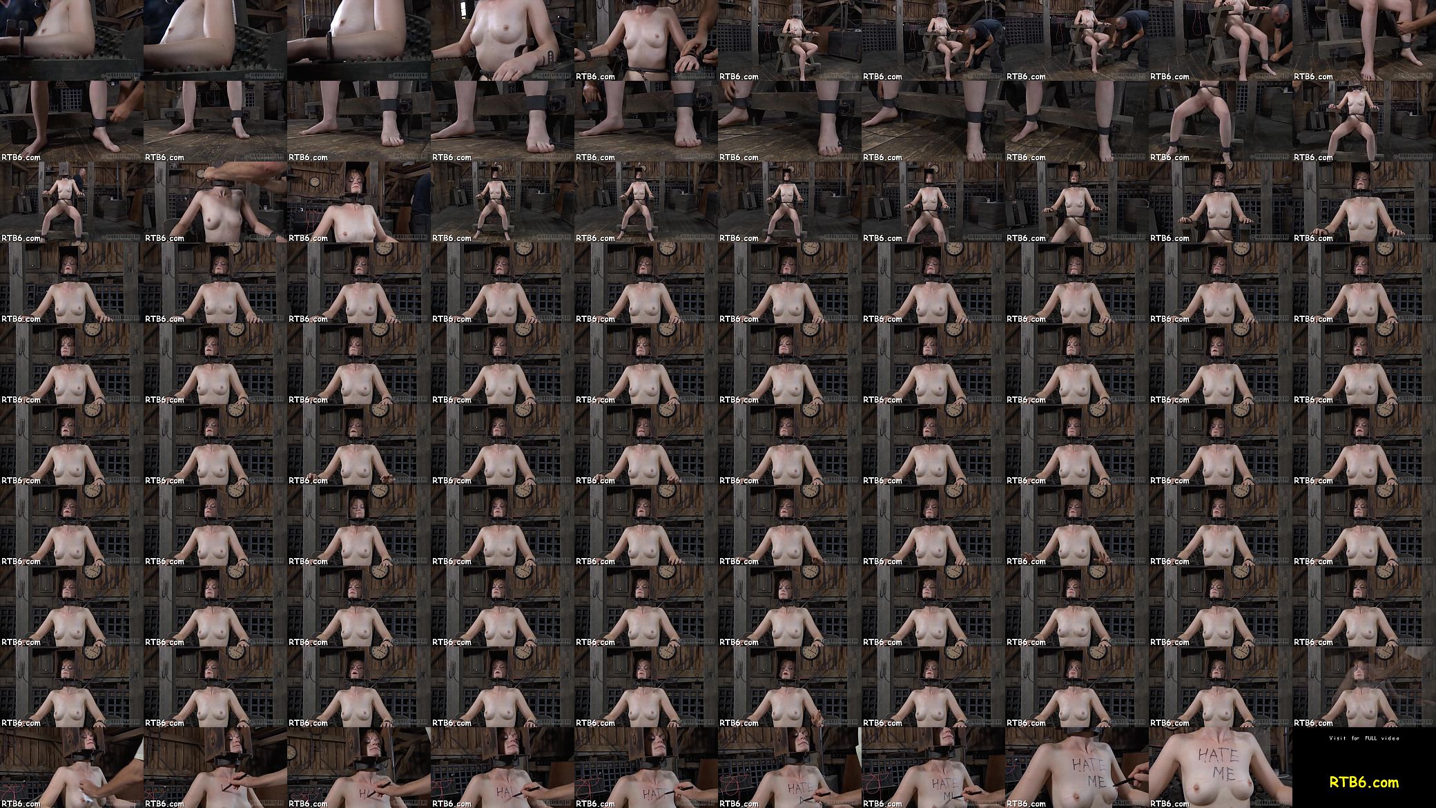 Femdom sadomasochism 预览图