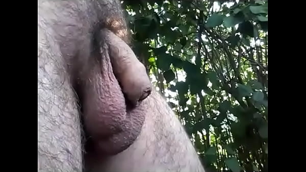 Download Video - Soft uncut cock with balls