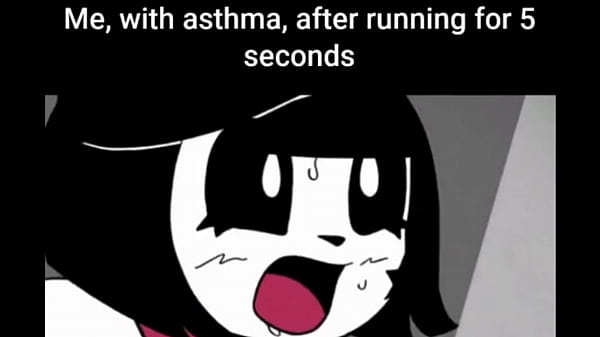 certified shitpost video