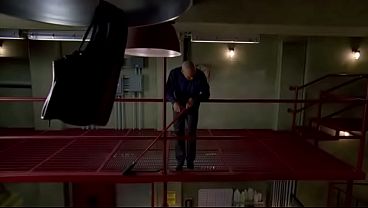 The fly escapes