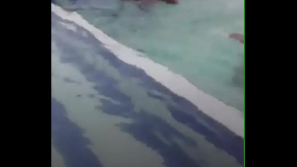 Putes Noires Dans La Piscine