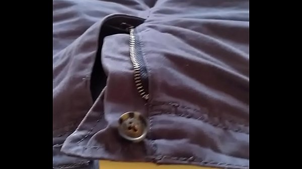 Download Video - Paja en una tarde caliente en Santiago