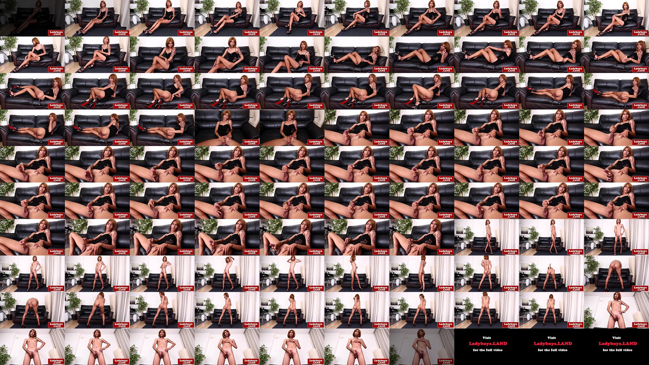 Glamorous ladyboy teases and wanks her cock 预览图
