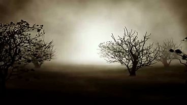 SWEET SCENT OF SUMMER - STUNNING SUMMER