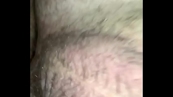 Nouvel Ours Au Sommet