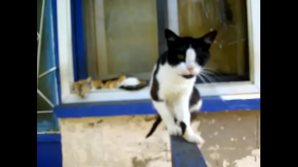 Видео для верификации