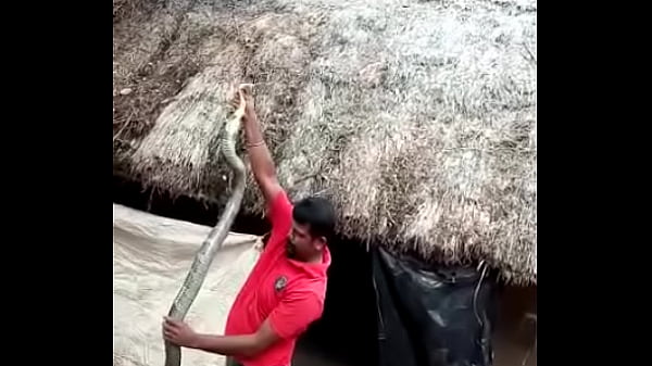 Fucking b. Imperdible HD