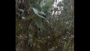 Preámbulo del paseo