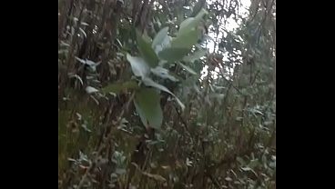 Preámbulo del paseo