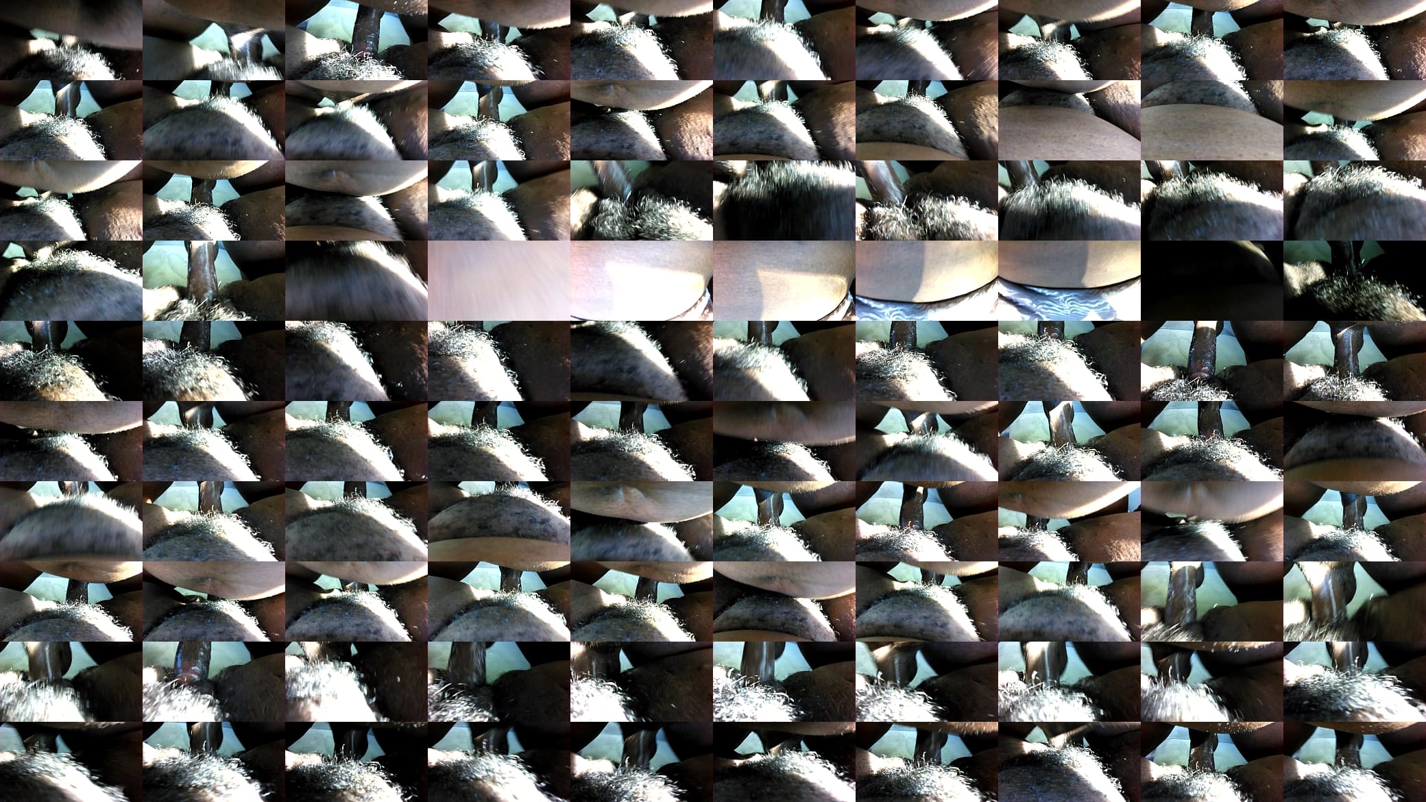 video:24761 预览图