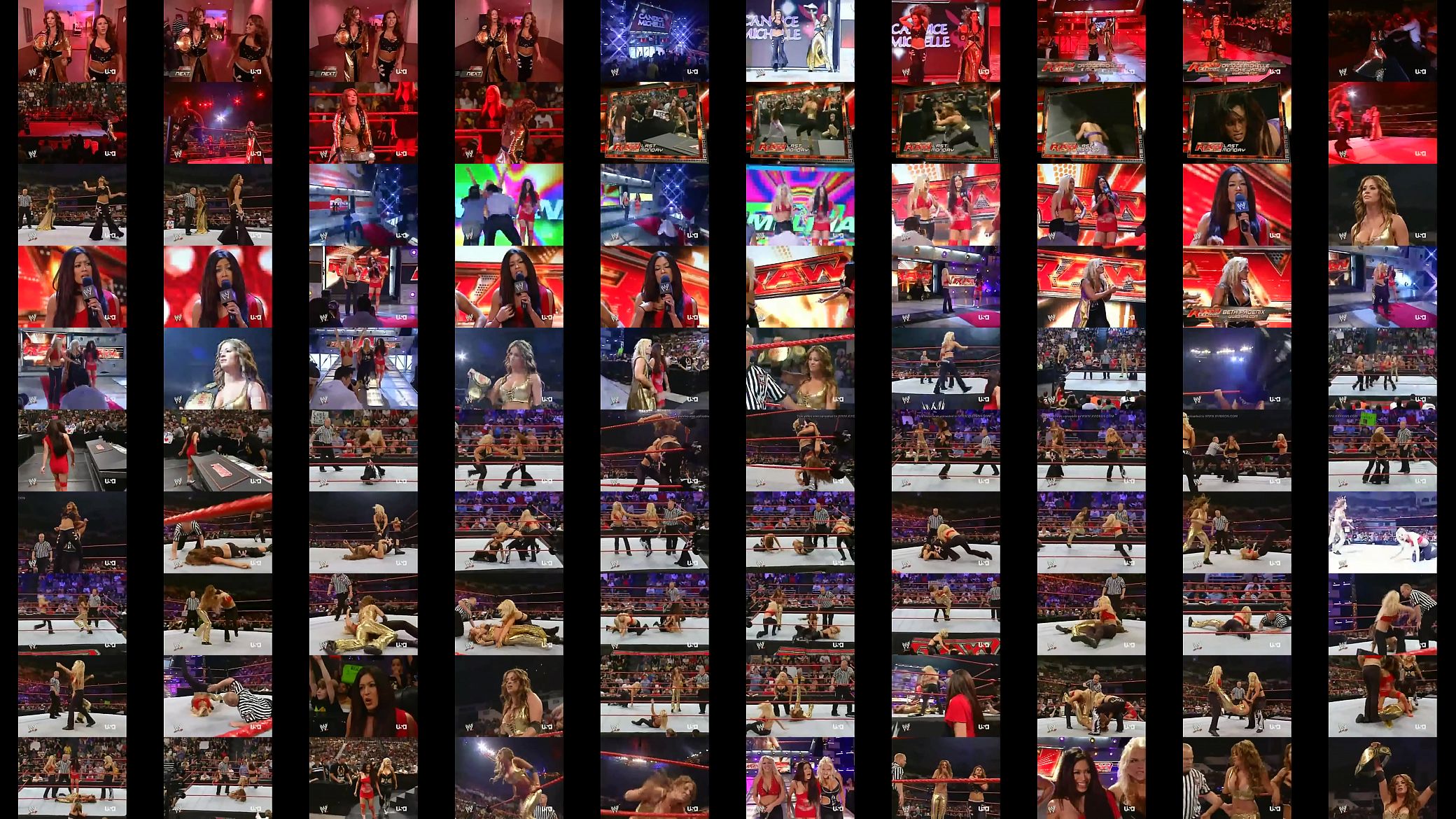 Mickie James and Candice Michelle vs Beth Phoenix and Jillian Hall. 预览图