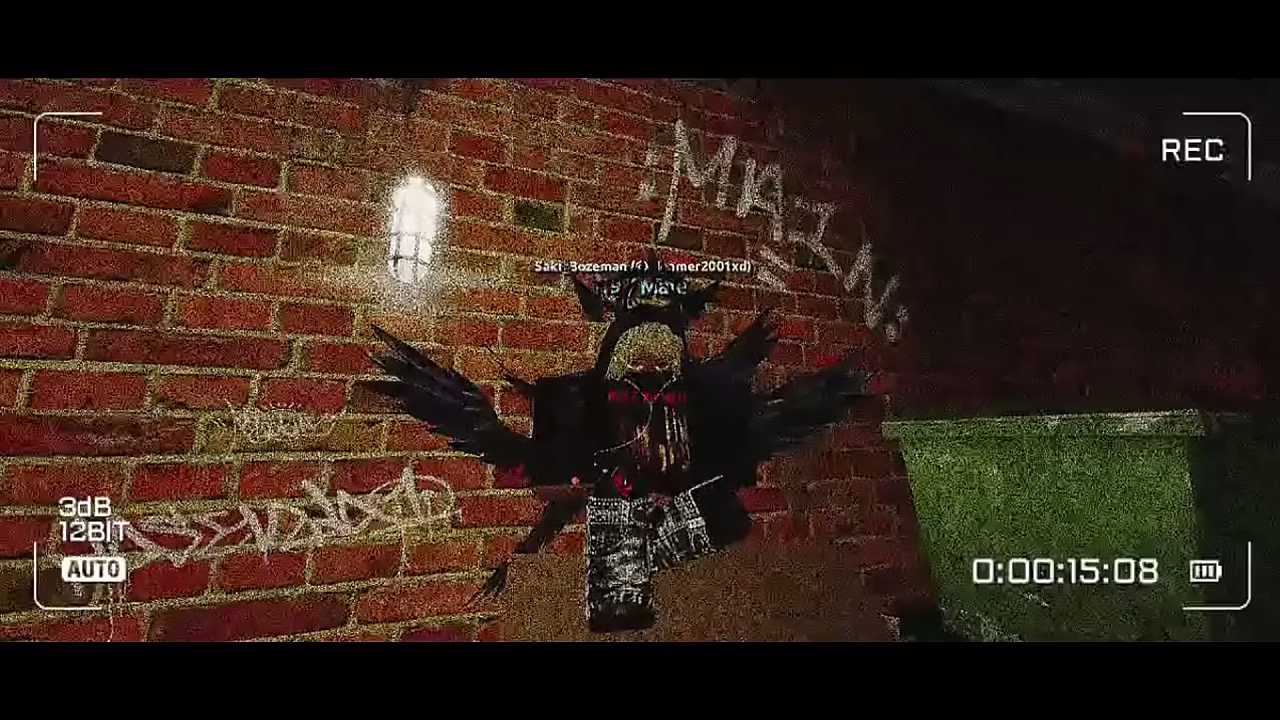 V&iacute_deo de verificaci&oacute_n