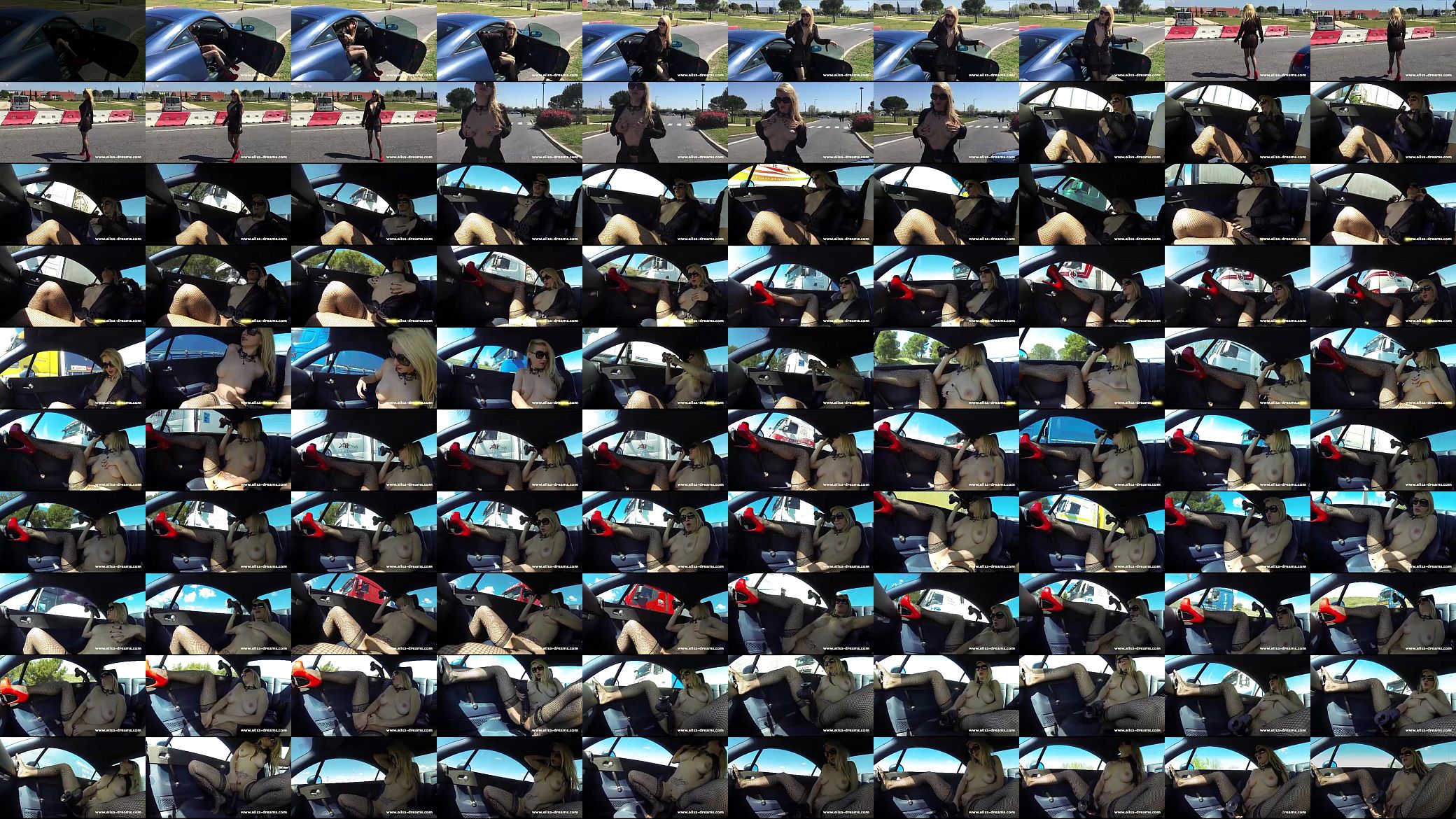 Flashing and Sex in Public on the highway 预览图