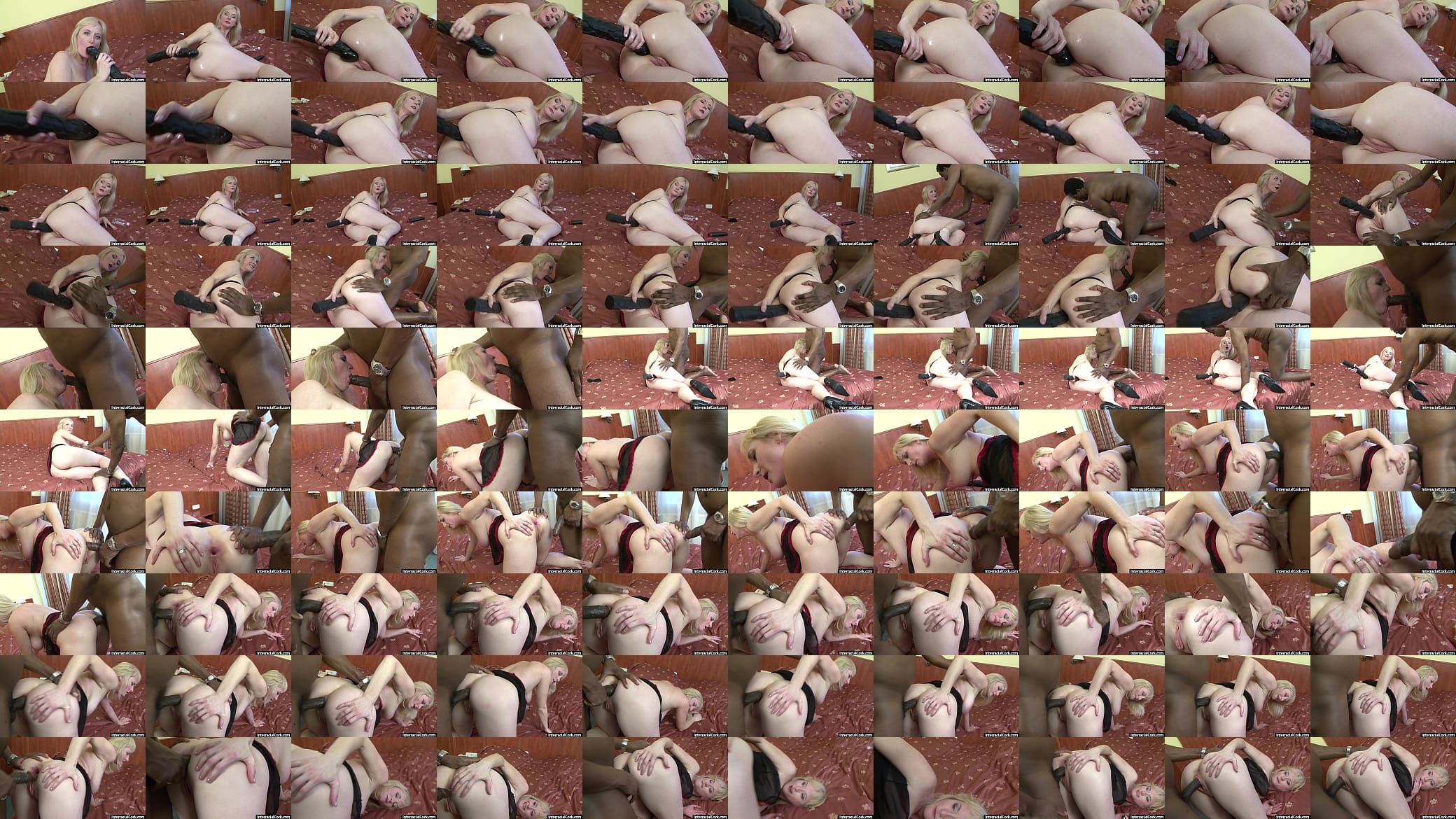 Kinky Blonde Mature Monika Wipper Gets Anal Pounded 预览图