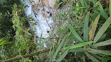Hot girl in the river shows me her tits and gives me a blowjob