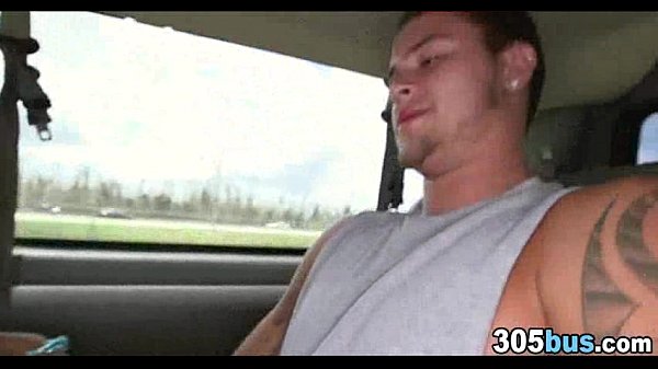 Banged in the Van