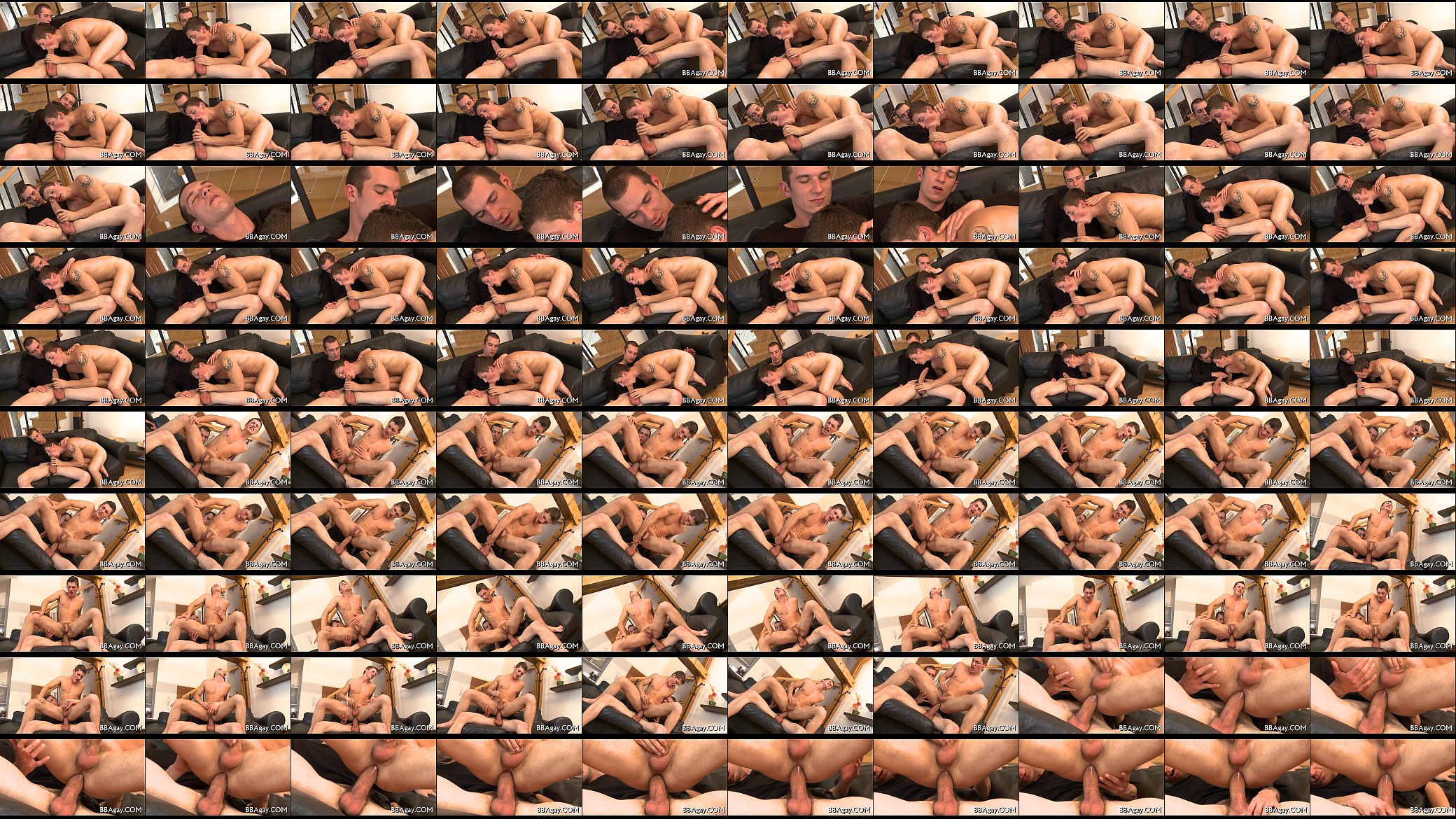 Free large dick homo porn 预览图