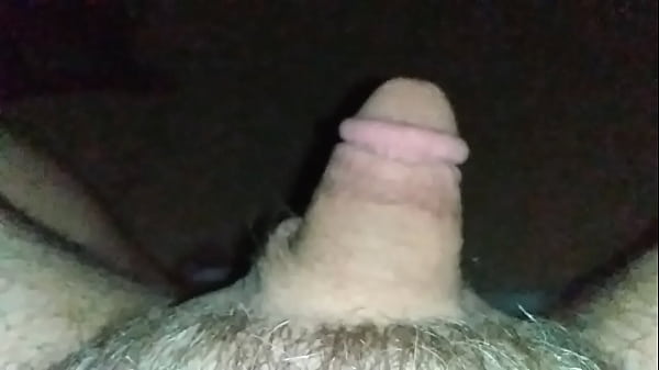 Scheibe