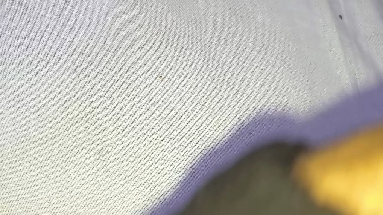 Fodendo gostoso o meu cuzinho