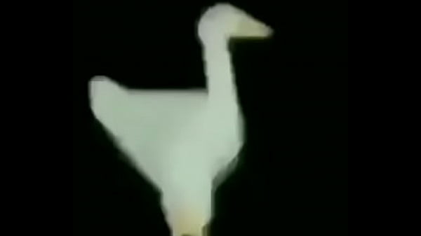 Simplemente epico
