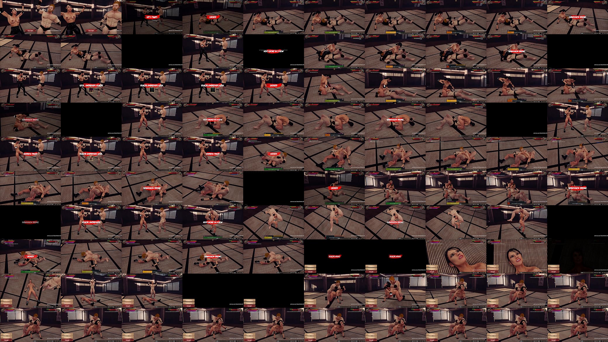 Kyla VS Vilkor (Naked Fighter 3D) 预览图