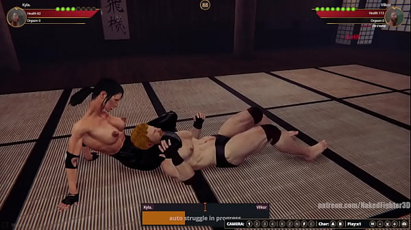 Cool VS Terms (Naked Fighter 3D)