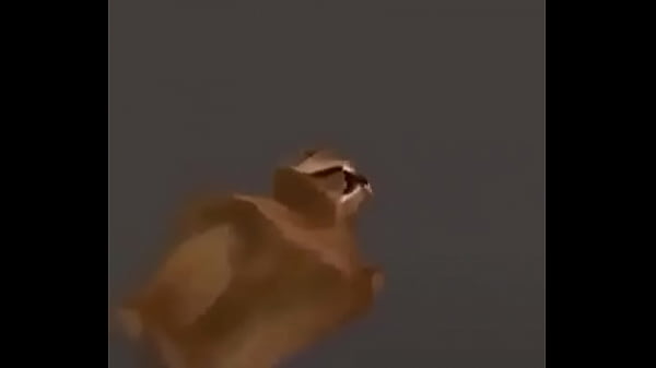 No tengo titulo para este video