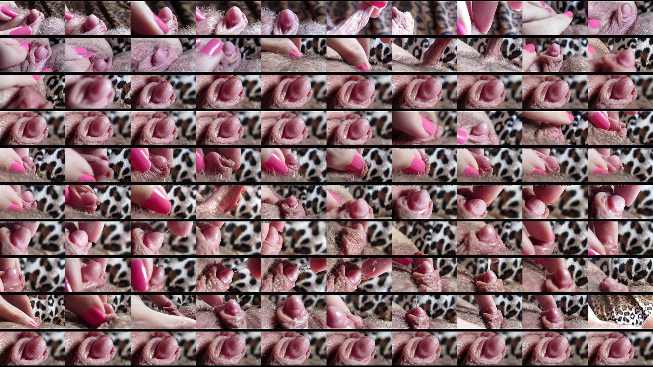 Big clit orgasm closeup 预览图