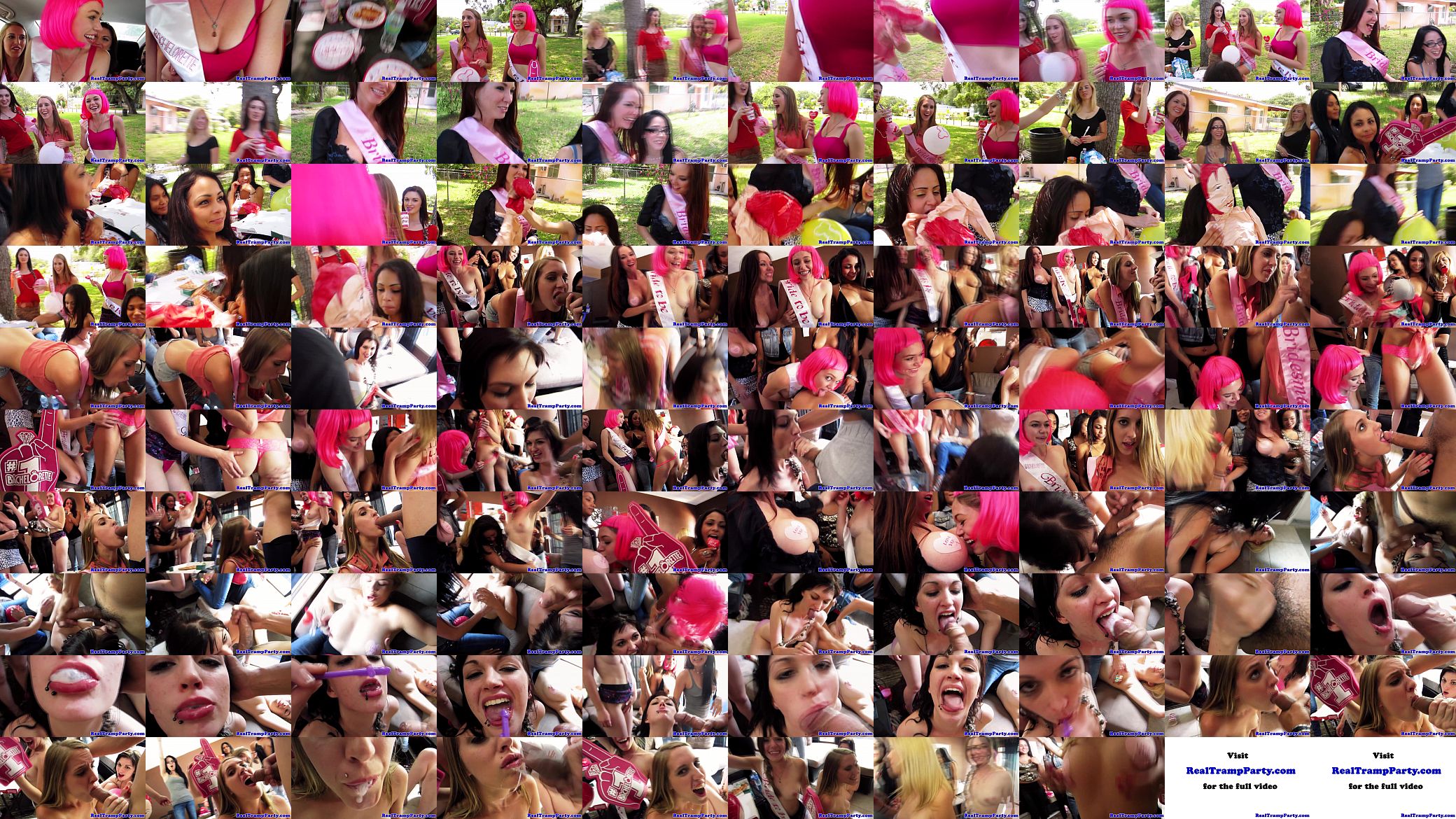 Homemade bachelorette orgy with stripper 预览图