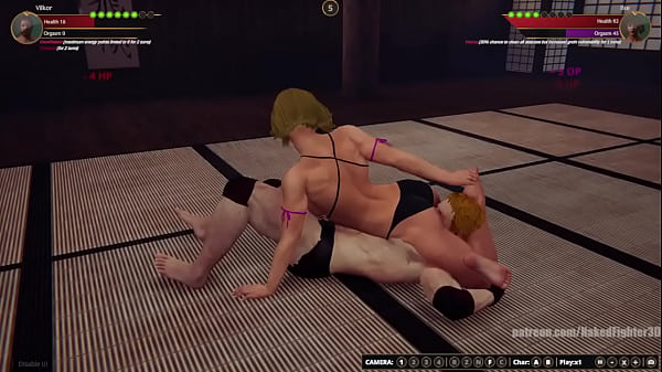 Terms VS Ilse (Naked Fighter 3D)
