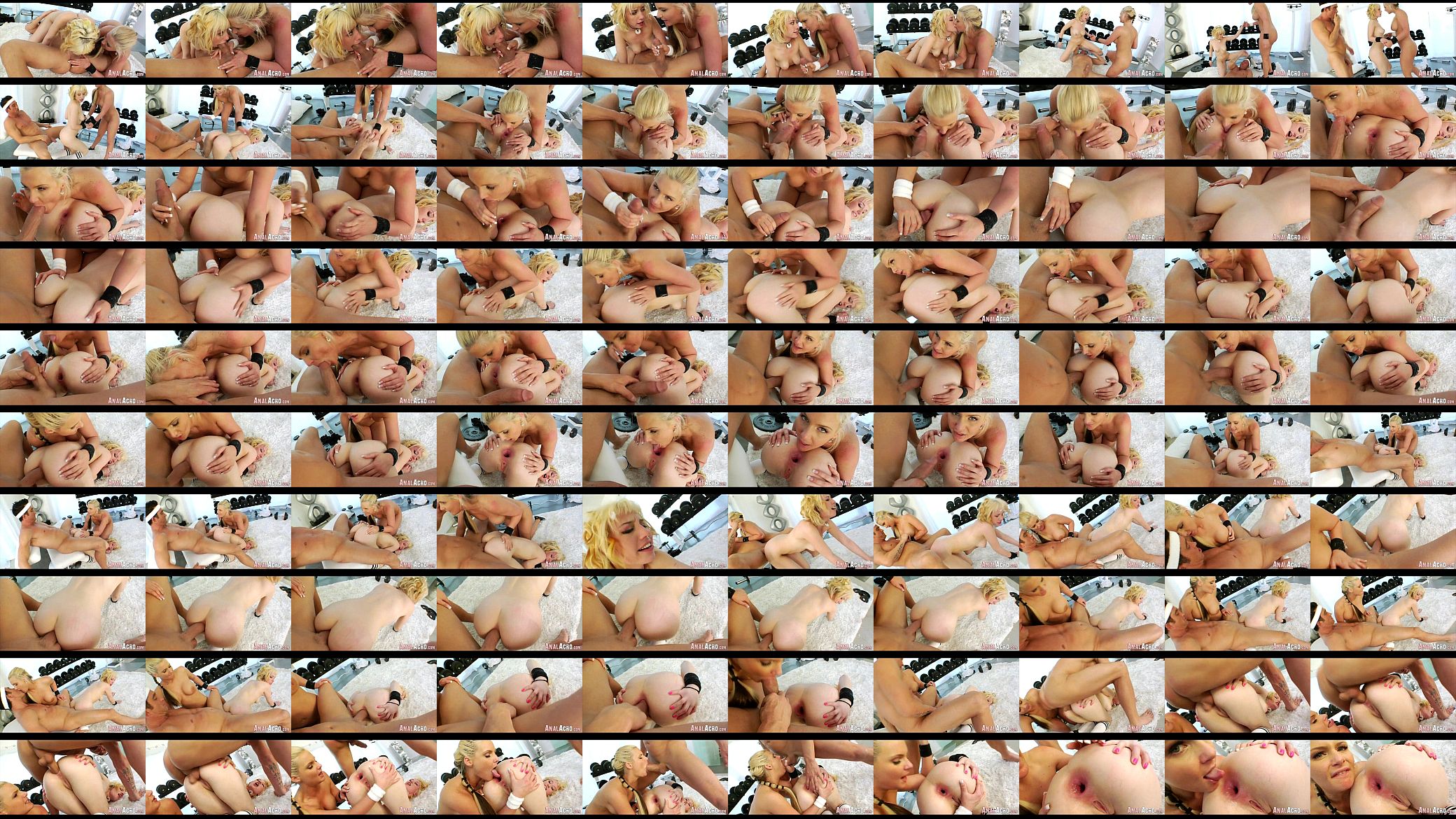 Anal Master 262 预览图
