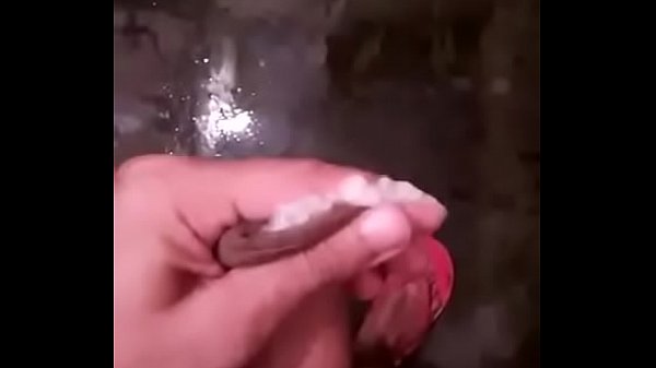 Vidéo Xiaoying 1519964449153