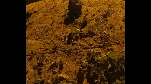 cururu fodendo gostosinho enquanto sobe morro